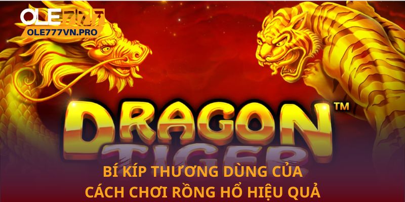 Bí kíp thương dùng của cách chơi rồng hổ hiệu quả
