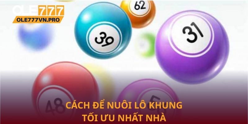 Cách để nuôi lô khung tối ưu nhất nhà cái Ole777