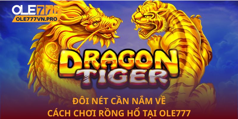 Đôi nét cần nắm về cách chơi rồng hổ tại Ole777