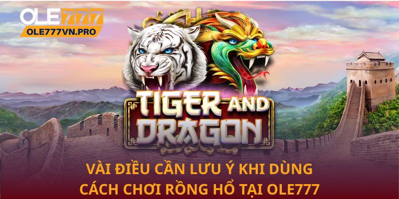 Vài điều cần lưu ý khi dùng cách chơi rồng hổ tại Ole777