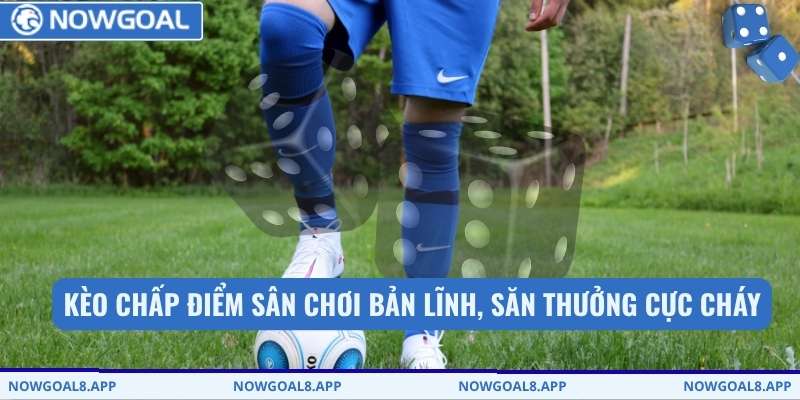 Kèo chấp điểm sân chơi bản lĩnh, săn thưởng cực cháy